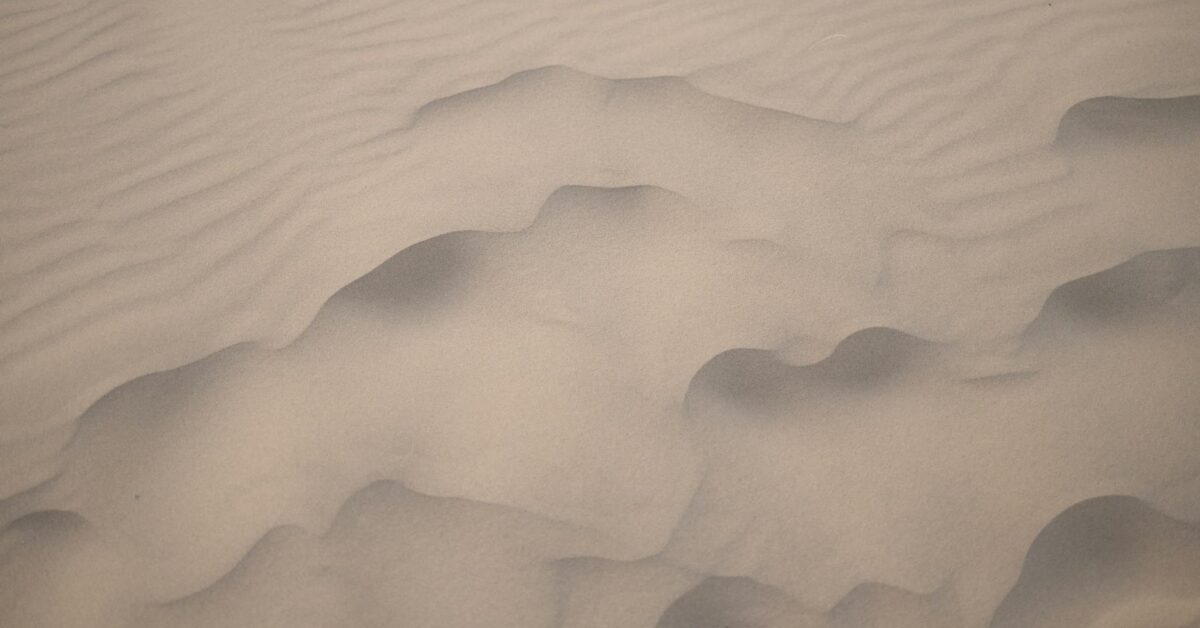 Entendendo a Importância da Sustentabilidade